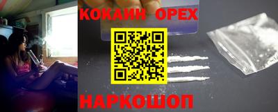 индика Камышлов