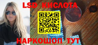 индика Камышлов