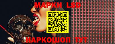 индика Камышлов