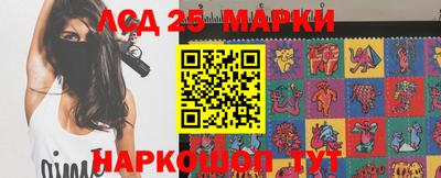 индика Камышлов