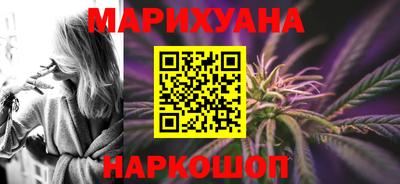 индика Камышлов