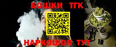 индика Камышлов