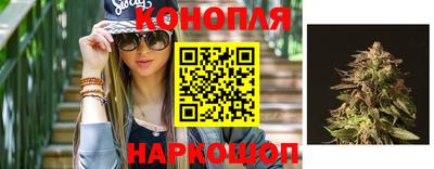 индика Камышлов