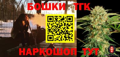 индика Камышлов