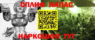 индика Камышлов