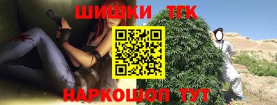 индика Камышлов