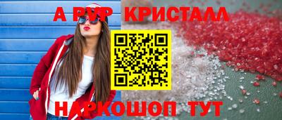 индика Камышлов