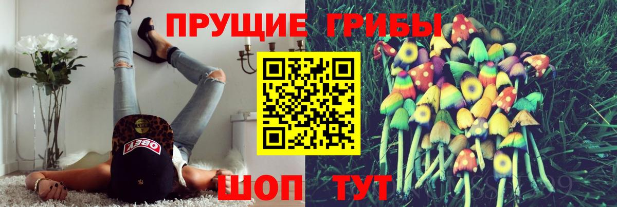 Псилоцибиновые грибы Psilocybine cubensis Донской